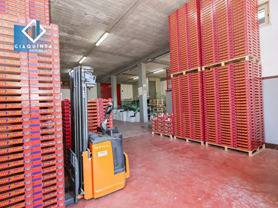 Immagine 9 di Capannone industriale in vendita  in Viale Resistenza Partigiana a Palagonia