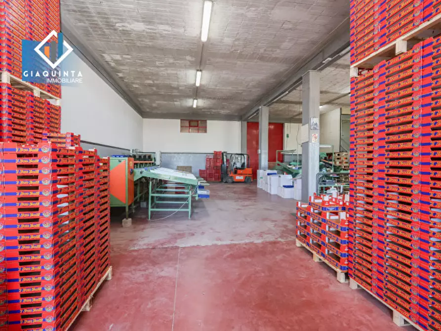 Immagine 10 di Capannone industriale in vendita  in Viale Resistenza Partigiana a Palagonia