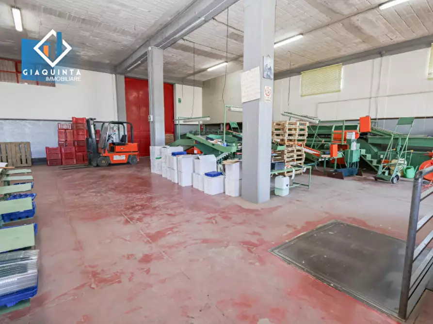 Immagine 11 di Capannone industriale in vendita  in Viale Resistenza Partigiana a Palagonia