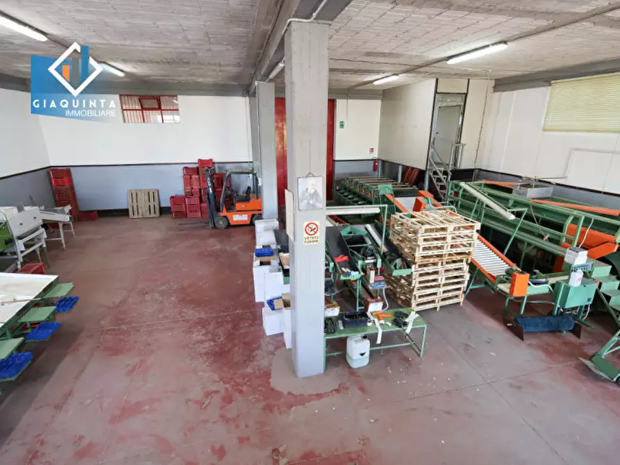 Immagine 13 di Capannone industriale in vendita  in Viale Resistenza Partigiana a Palagonia