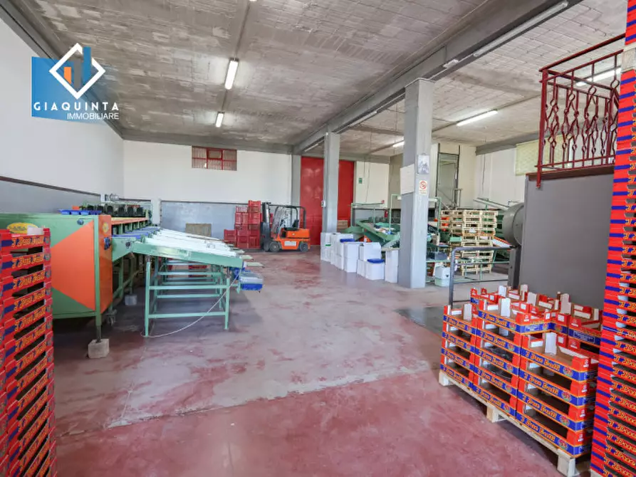 Immagine 18 di Capannone industriale in vendita  in Viale Resistenza Partigiana a Palagonia