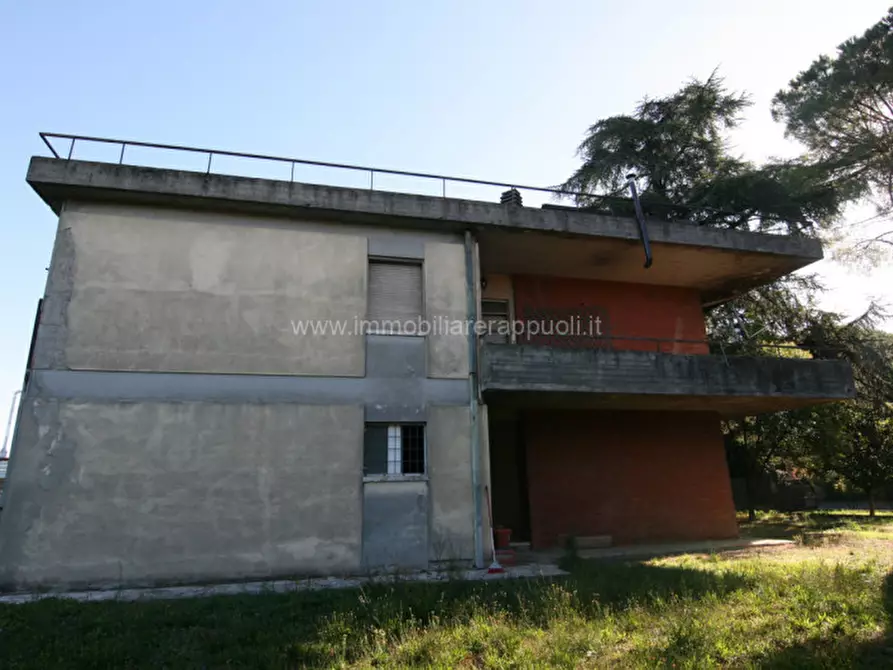 Immagine 2 di Casa indipendente in vendita  a Torrita Di Siena