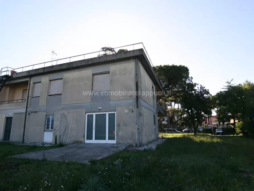 Immagine 3 di Casa indipendente in vendita  a Torrita Di Siena