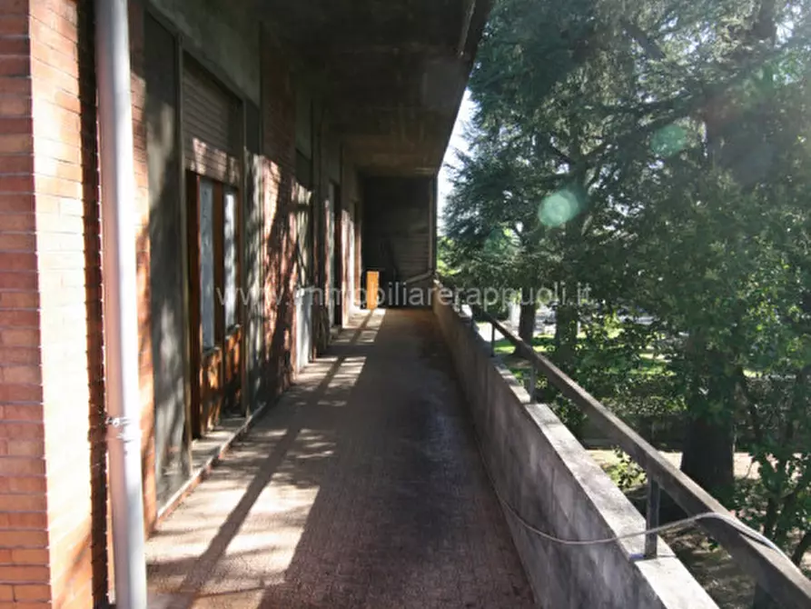 Immagine 19 di Casa indipendente in vendita  a Torrita Di Siena