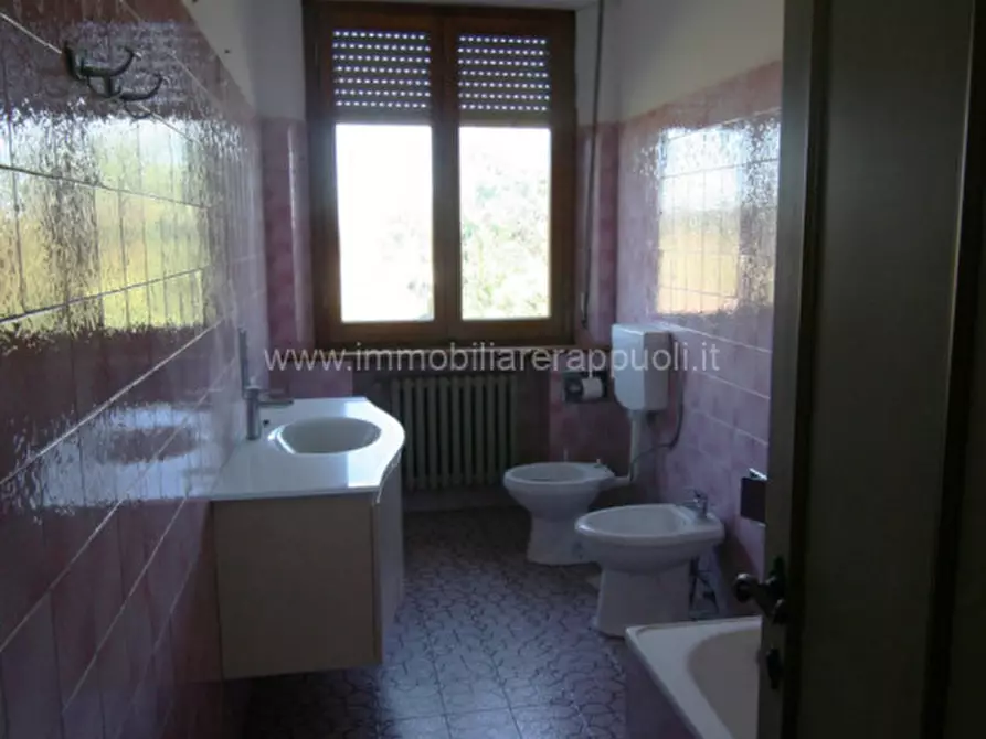 Immagine 37 di Casa indipendente in vendita  a Torrita Di Siena