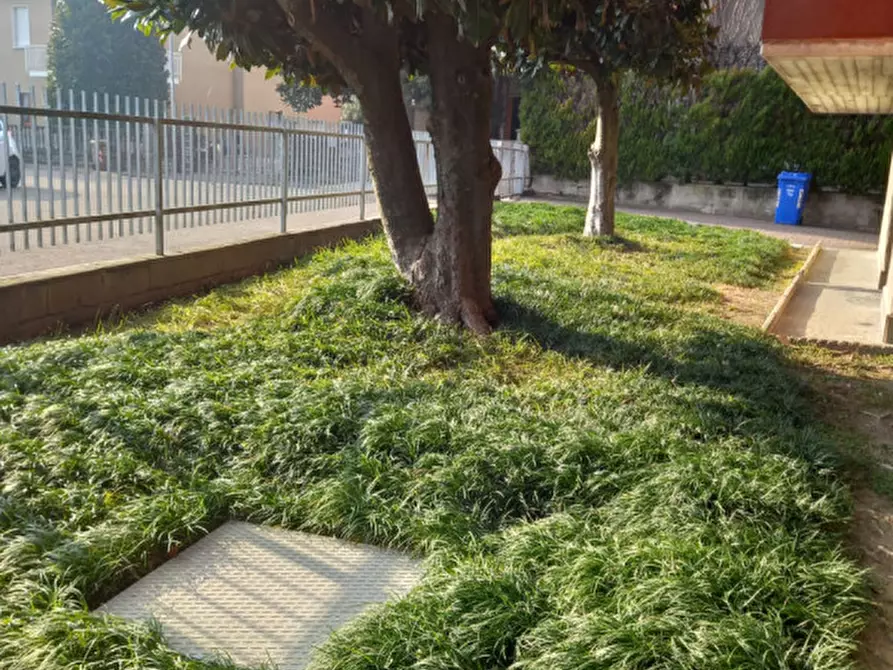 Immagine 16 di Appartamento in affitto  in Via E. Petitot 10 a Colorno