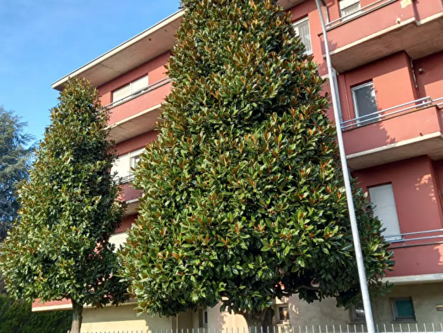 Immagine 17 di Appartamento in affitto  in Via E. Petitot 10 a Colorno