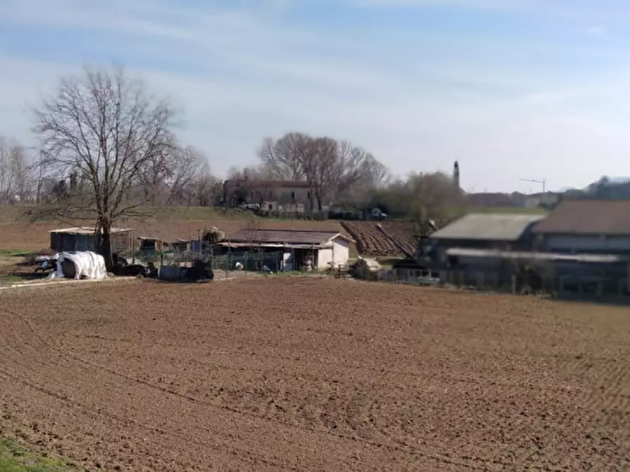 Immagine 11 di Casa indipendente in vendita  in Via Colderuga a Longare