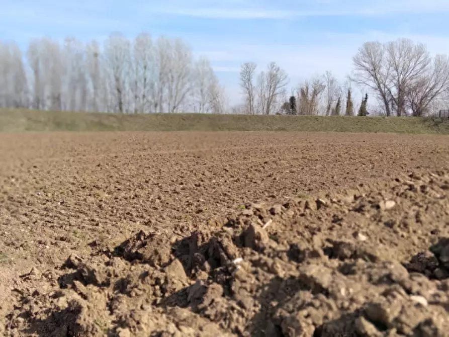 Immagine 12 di Casa indipendente in vendita  in Via Colderuga a Longare