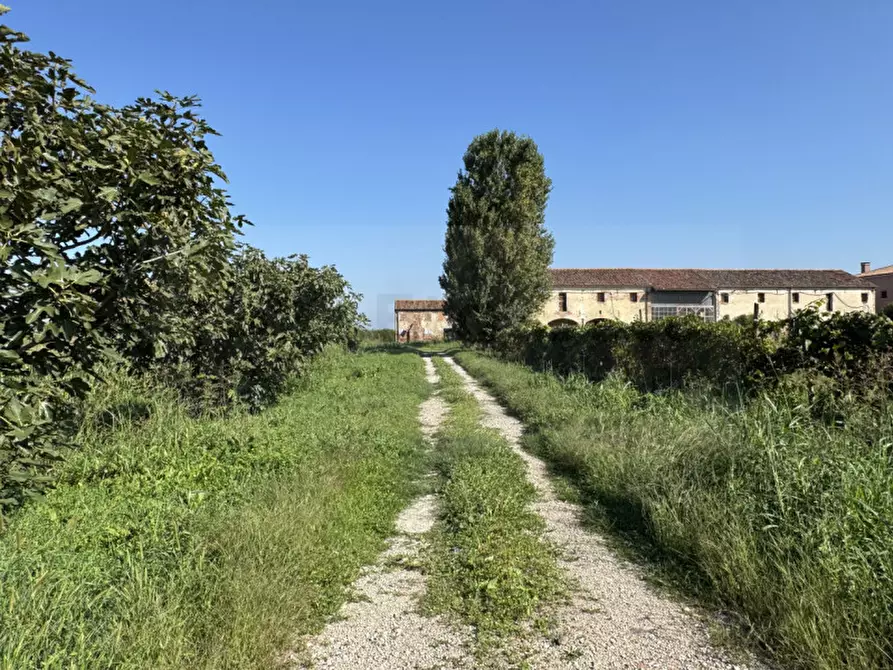 Immagine 11 di Rustico / casale in vendita  in Via Leonardo da Vinci a Cona