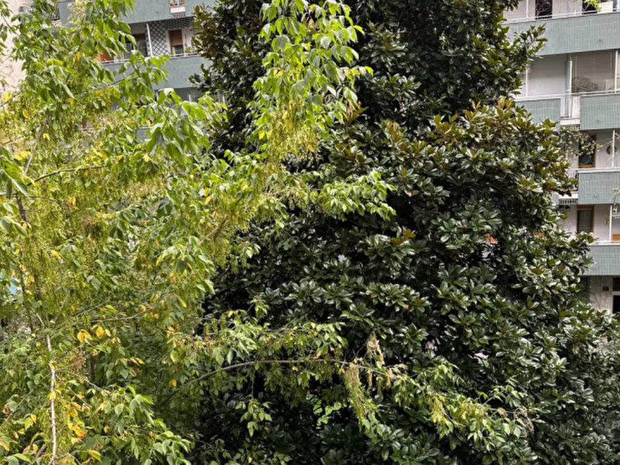 Immagine 16 di Camera in affitto  in Via Adeodato Ressi 7/A a Milano