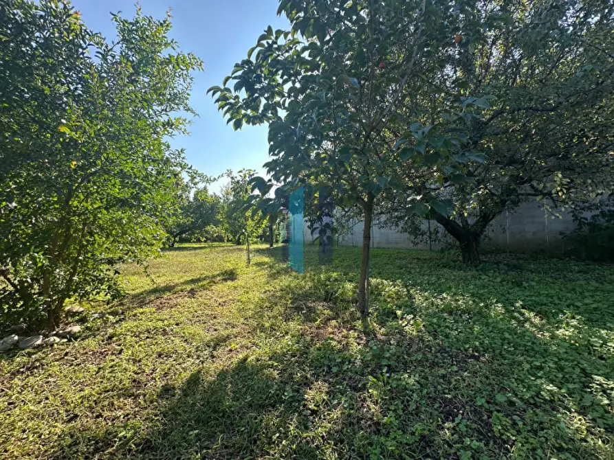 Immagine 17 di Casa indipendente in vendita  in VIA ERCOLIANI a Carpenedolo