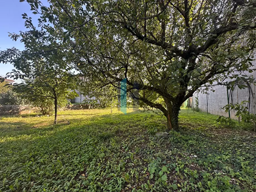 Immagine 18 di Casa indipendente in vendita  in VIA ERCOLIANI a Carpenedolo