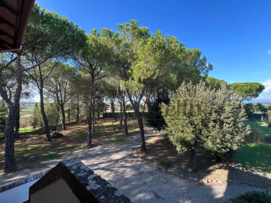 Immagine 19 di Villa in vendita  in villastrada a Castiglione Del Lago