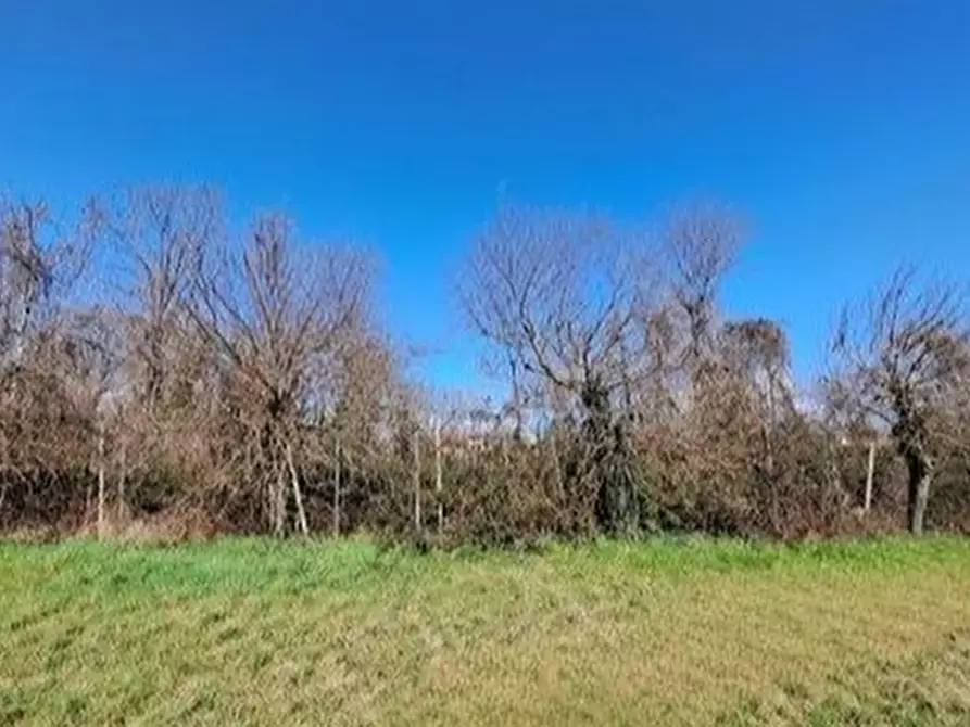 Immagine 1 di Terreno in vendita  in Arba a Arba