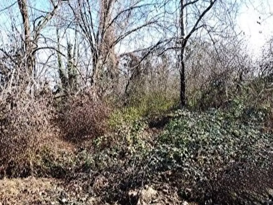 Immagine 2 di Terreno in vendita  in Arba a Arba