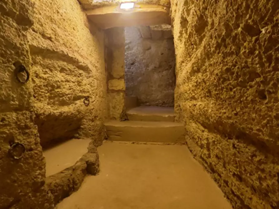 Immagine 19 di Casa indipendente in vendita  in Via Immacolata a Matino