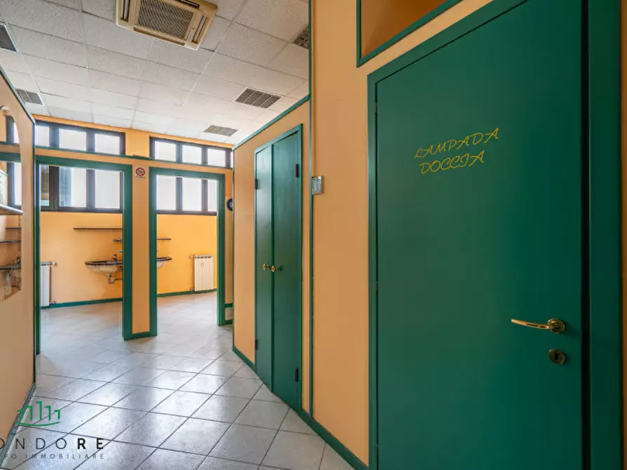 Immagine 8 di Negozio in vendita  in via Camillo Procaccini a Bologna