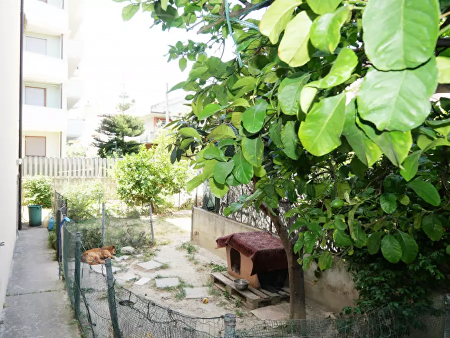 Immagine 25 di Appartamento in vendita  in Via Piceni, 1 a Montesilvano