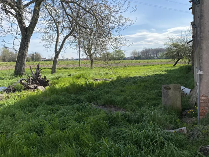 Immagine 19 di Rustico / casale in vendita  in Via Fiumicello a Brugine