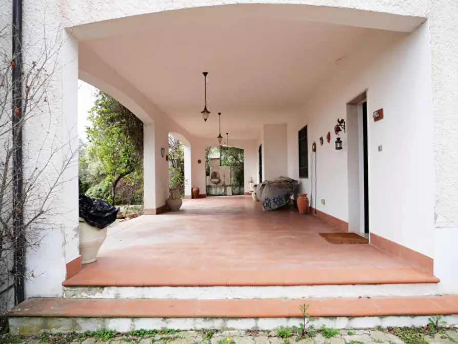 Immagine 3 di Casa indipendente in vendita  in cintrada Collalto 67 a Pianella