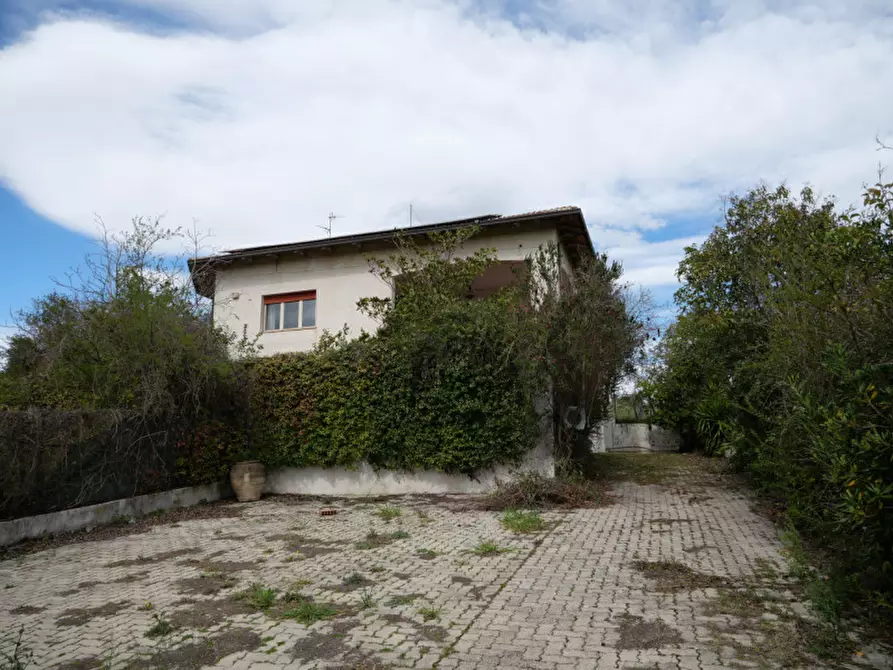 Immagine 3 di Villa in vendita  in cintrada Collalto 67 a Pianella