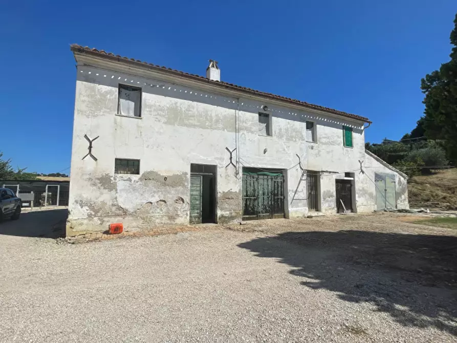 Immagine 5 di Terreno in vendita  a Senigallia