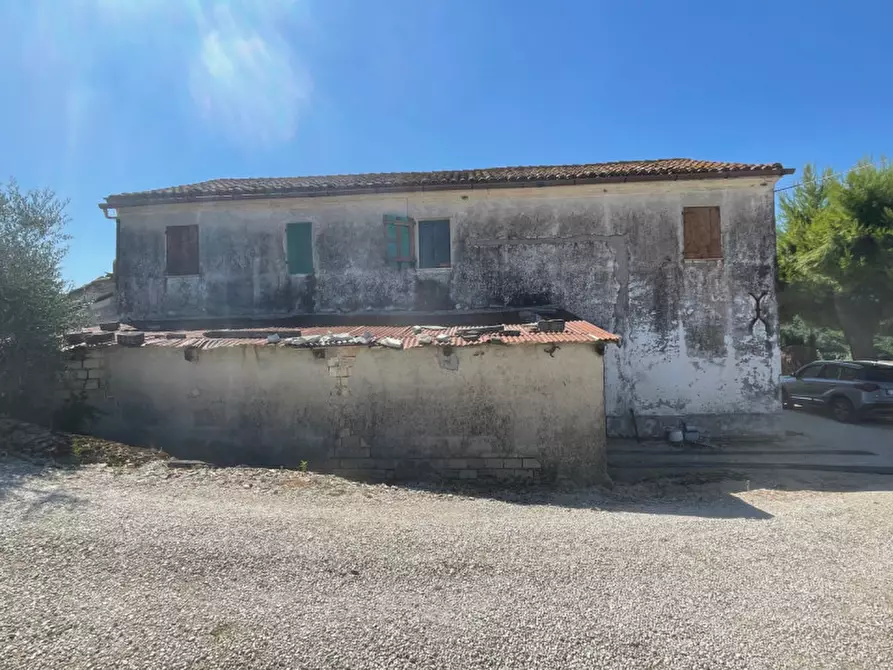 Immagine 7 di Terreno in vendita  a Senigallia