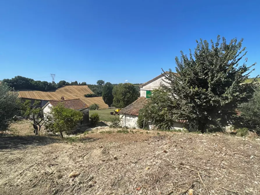 Immagine 8 di Terreno in vendita  a Senigallia