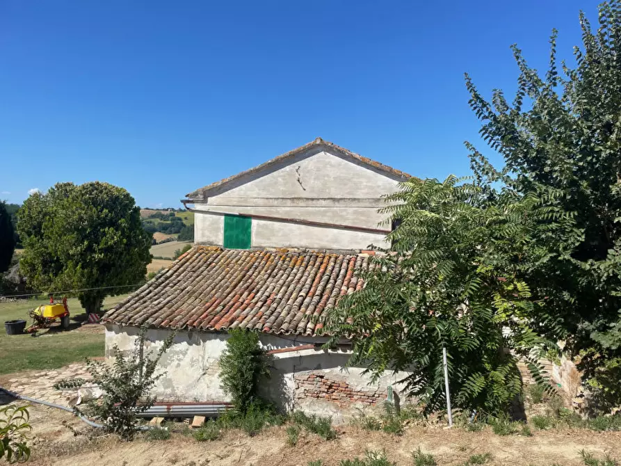 Immagine 9 di Terreno in vendita  a Senigallia