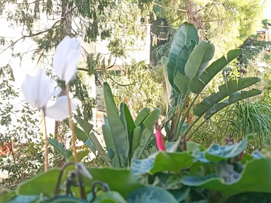 Immagine 9 di Appartamento in vendita  in VIA ANTONELLO DA MESSINA, 19 a Andria