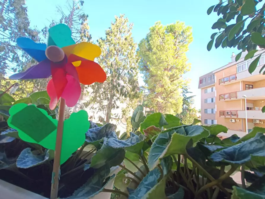 Immagine 11 di Appartamento in vendita  in VIA ANTONELLO DA MESSINA, 19 a Andria