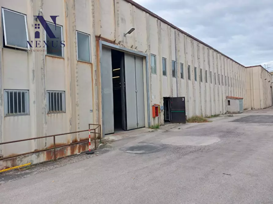 Immagine 4 di Capannone industriale in affitto  in Via Luigi Einaudi 4 a Fano