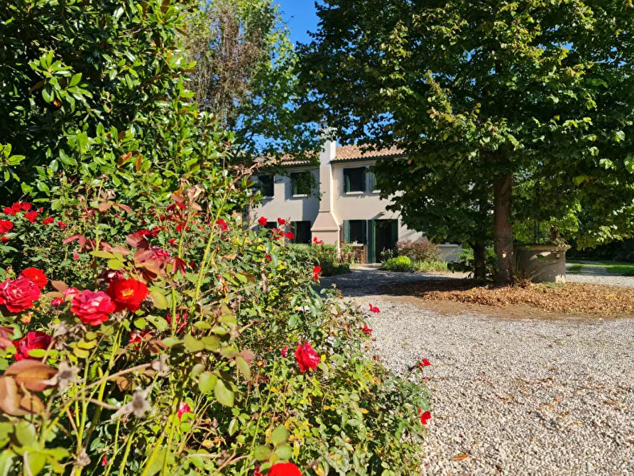 Immagine 5 di Villa in vendita  a Lendinara