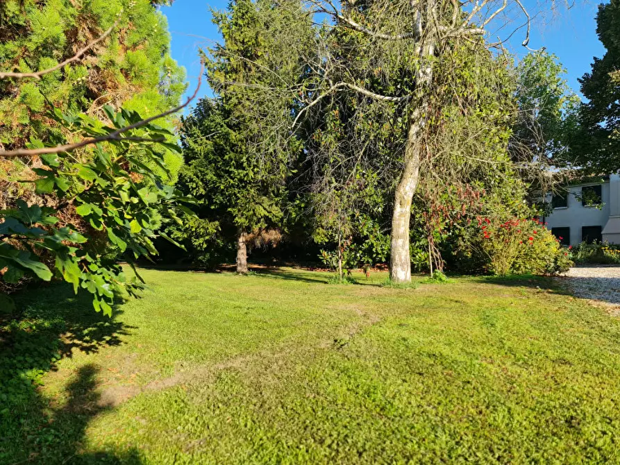 Immagine 6 di Villa in vendita  a Lendinara