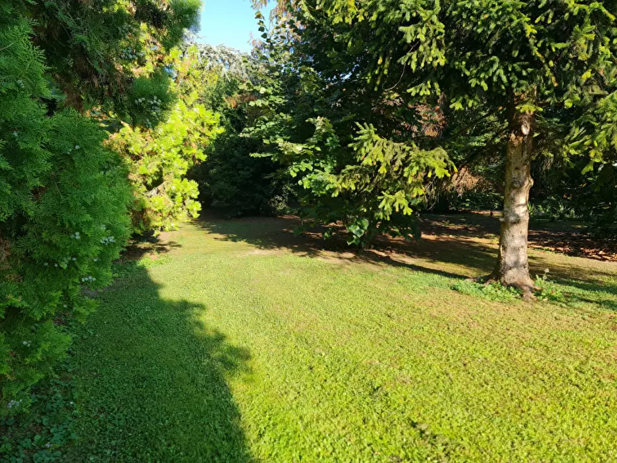 Immagine 7 di Villa in vendita  a Lendinara