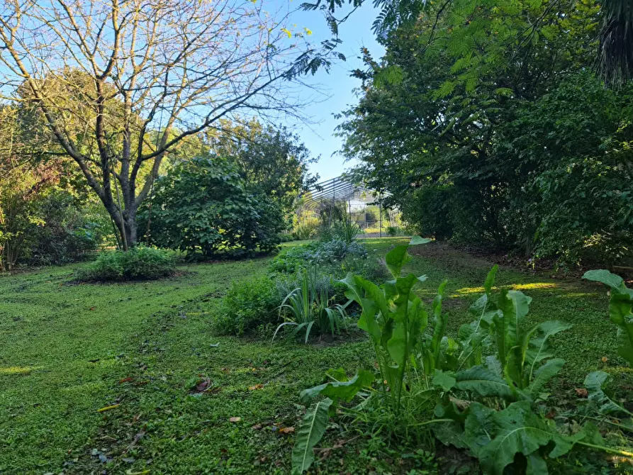 Immagine 9 di Villa in vendita  a Lendinara