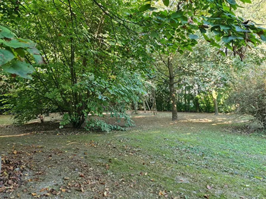 Immagine 10 di Villa in vendita  a Lendinara