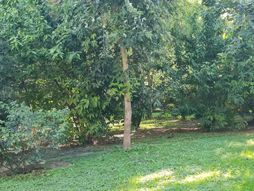 Immagine 14 di Villa in vendita  a Lendinara