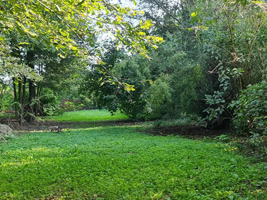 Immagine 15 di Villa in vendita  a Lendinara