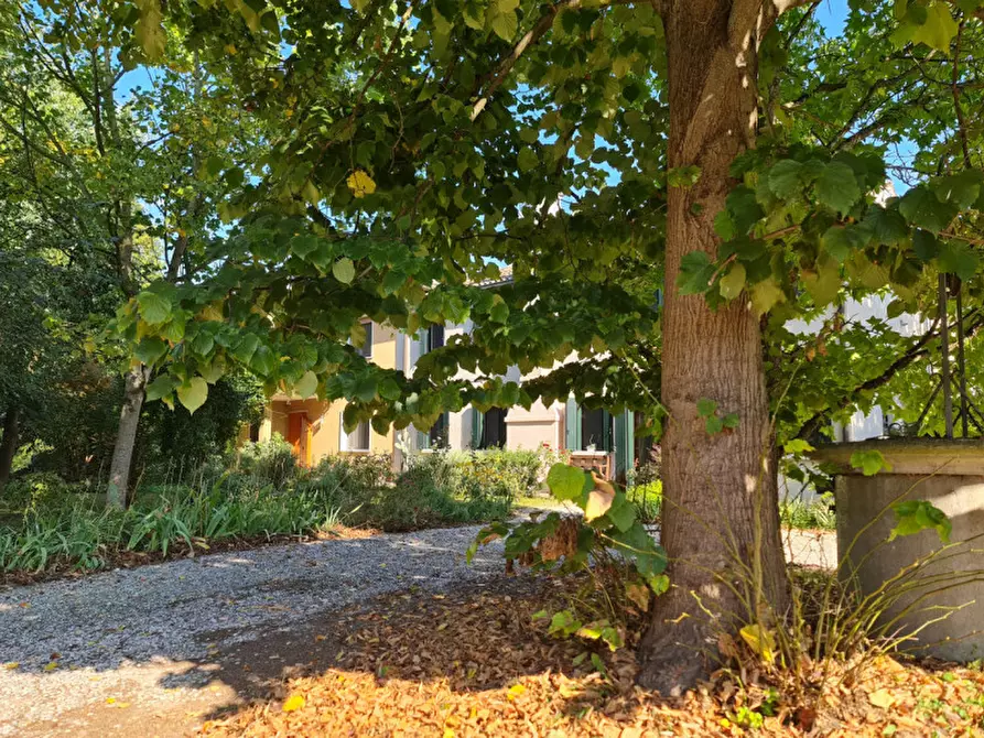 Immagine 25 di Villa in vendita  a Lendinara