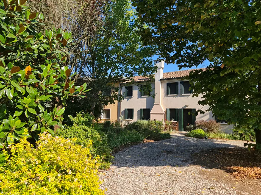 Immagine 26 di Villa in vendita  a Lendinara