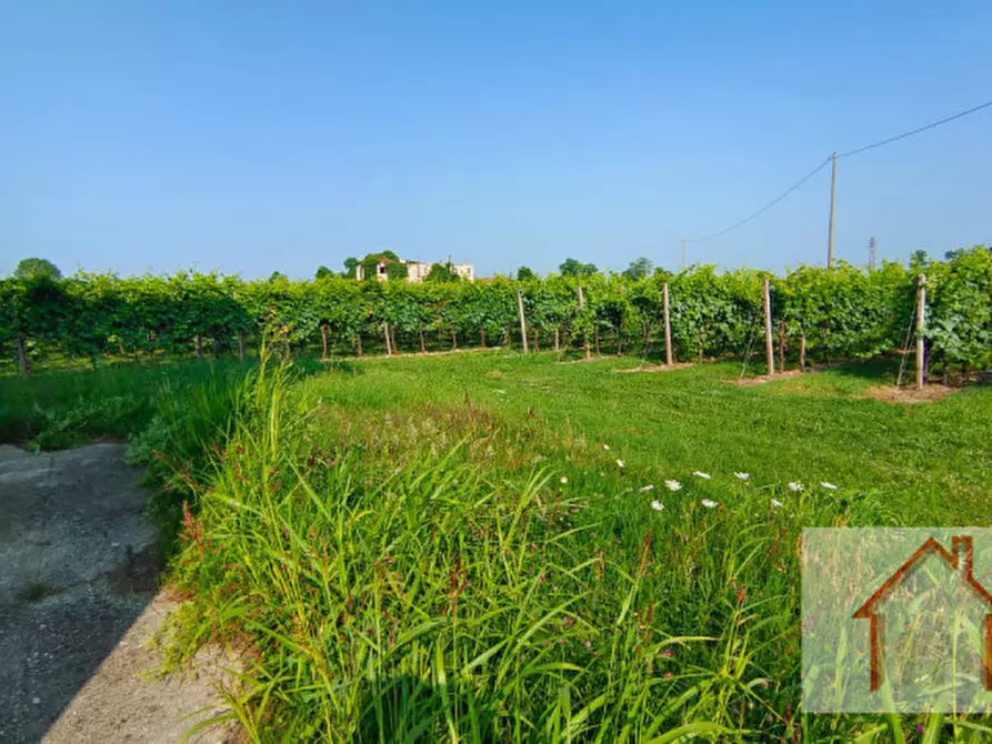 Immagine 20 di Casa indipendente in vendita  a Susegana