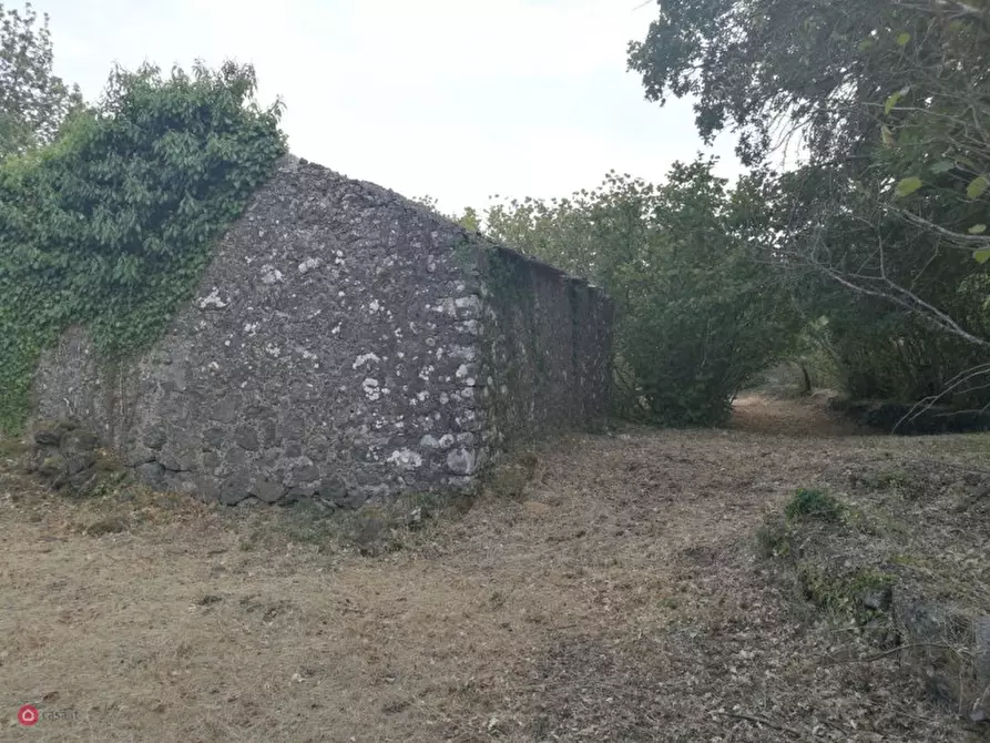 Immagine 4 di Rustico / casale in vendita  in Via Ciurrovio a Mascali