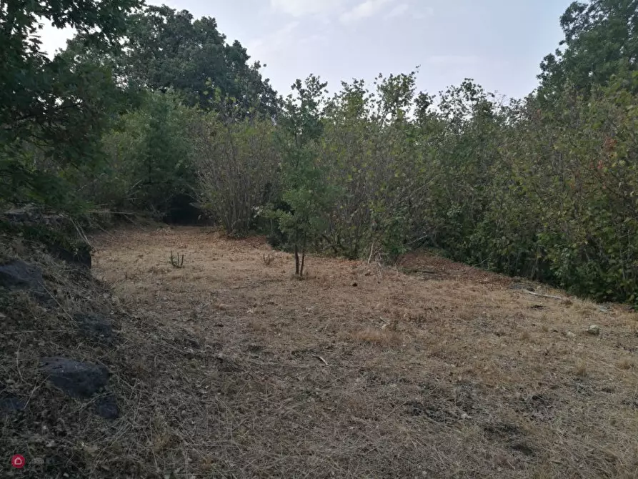 Immagine 6 di Rustico / casale in vendita  in Via Ciurrovio a Mascali