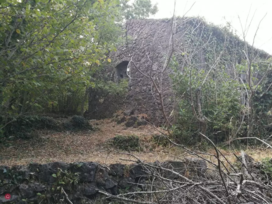 Immagine 8 di Rustico / casale in vendita  in Via Ciurrovio a Mascali