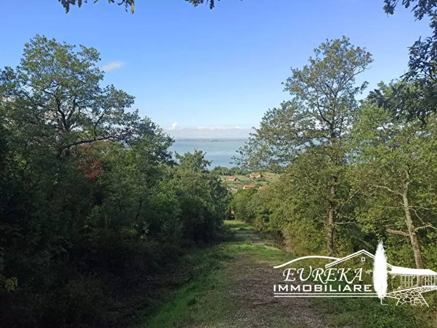 Immagine 2 di Terreno in vendita  in strada della rocca a Magione