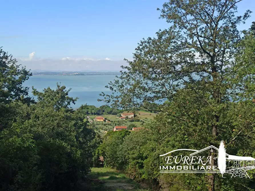 Immagine 3 di Terreno in vendita  in strada della rocca a Magione
