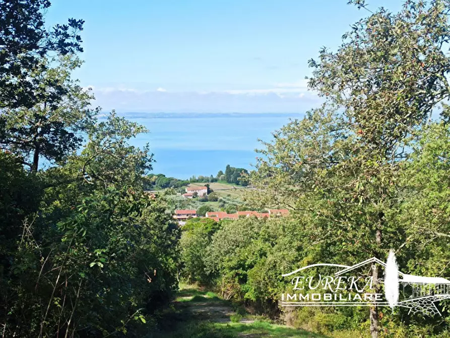 Immagine 4 di Terreno in vendita  in strada della rocca a Magione
