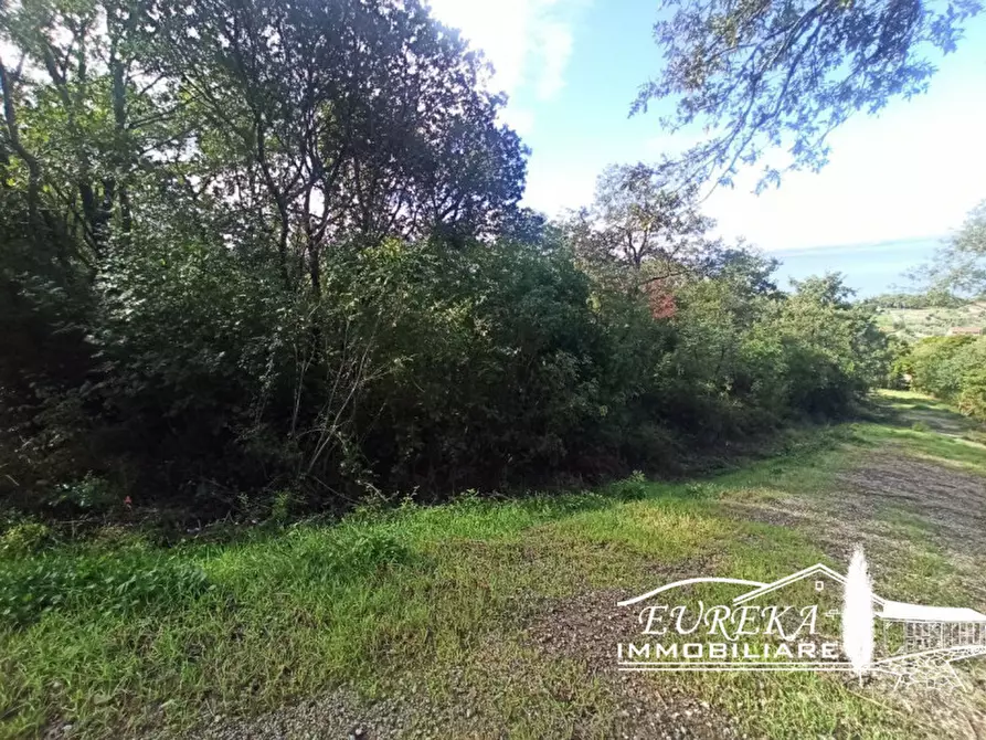 Immagine 5 di Terreno in vendita  in strada della rocca a Magione